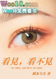 看见,看不见(高H)